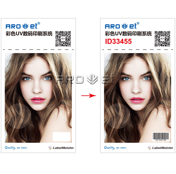 �ɱ���������������ӡˢ ����ӡˢ