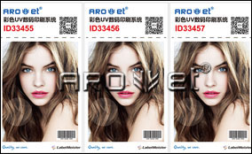 EM-313W ��ɫUV����ӡˢϵͳ Technical Parameters