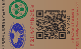 ������ӡ����ֽ����īԤӡ��Technical Parameters