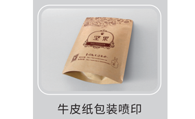 HS-300����������īӡˢװ�����ղ���Technical Parameters