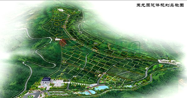 1-22020Q12122N1 兰科博弈(RankBet)有限公司官网