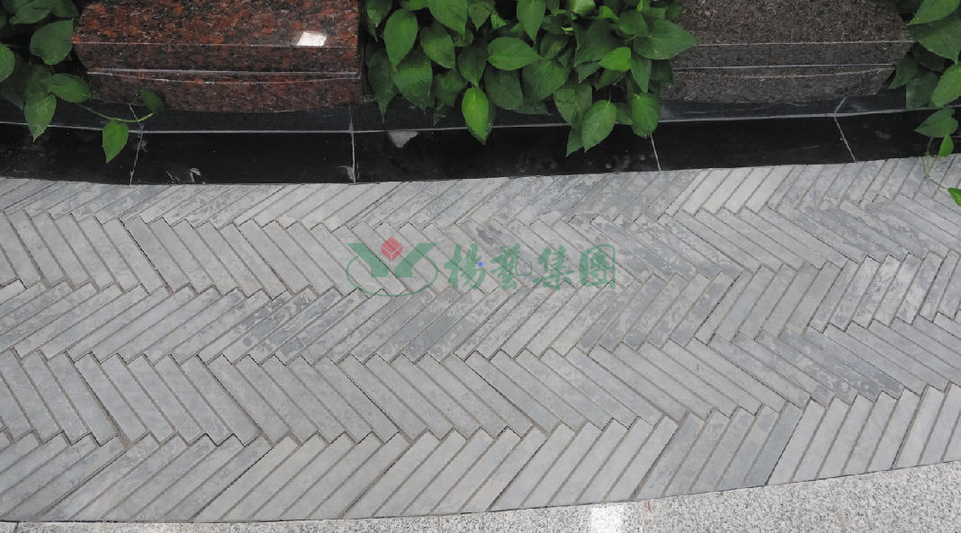 1-22020Q31136458 兰科博弈(RankBet)有限公司官网