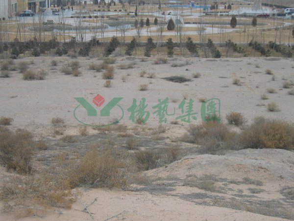 兰科博弈(RankBet)有限公司官网