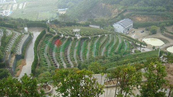 兰科博弈(RankBet)有限公司官网