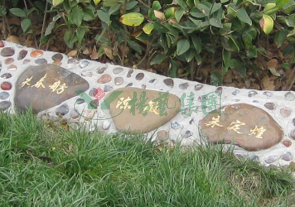 1-2202221530334C 兰科博弈(RankBet)有限公司官网