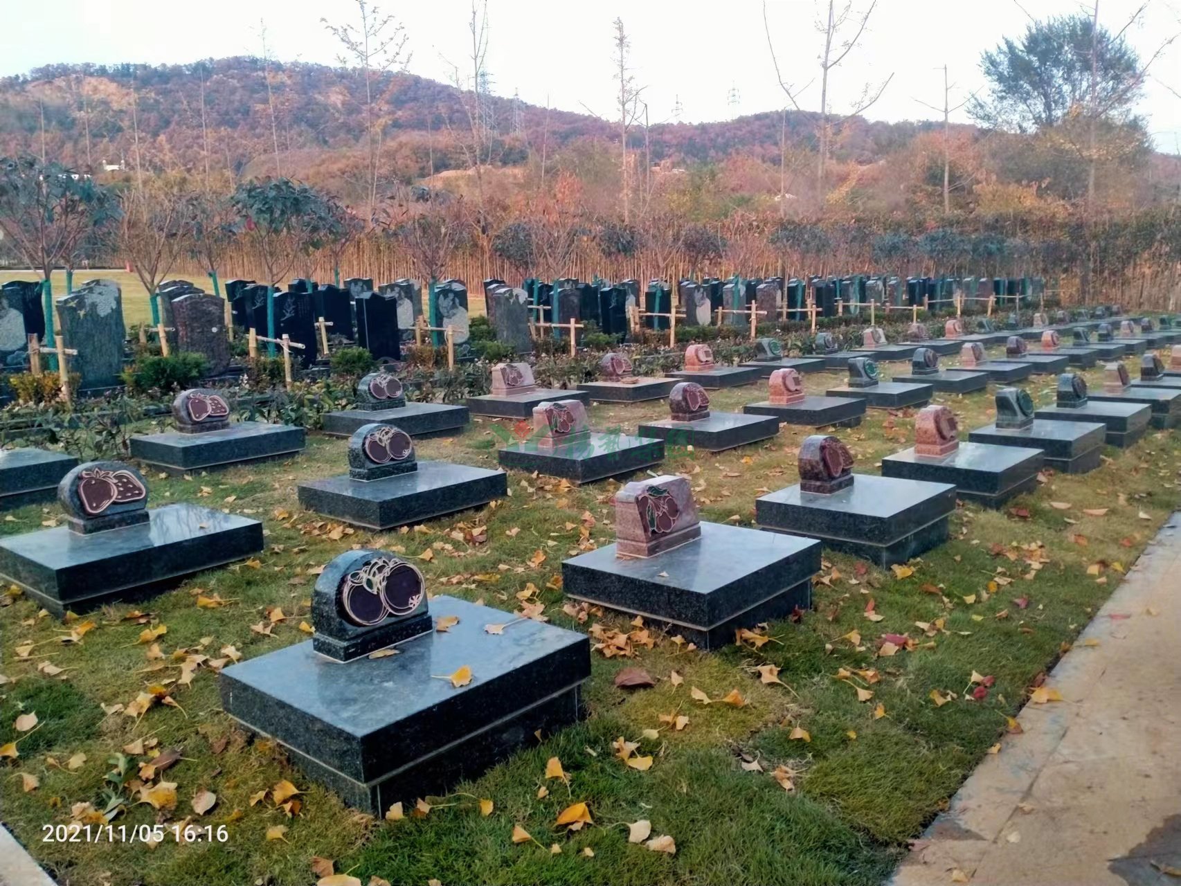 1-22052G405053P 兰科博弈(RankBet)有限公司官网