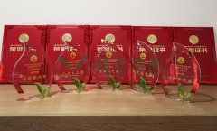 “杨艺杯」劂江省节地生态安葬设计文章奖