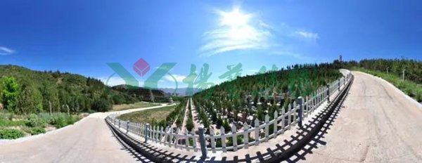 兰科博弈(RankBet)有限公司官网