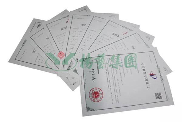 兰科博弈(RankBet)有限公司官网