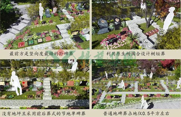 兰科博弈(RankBet)有限公司官网