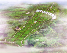 杨艺集团：公墓投资的践行者，经营治理的内行