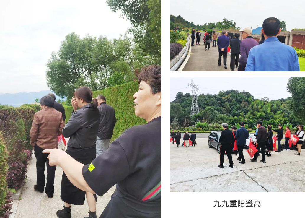 兰科博弈(RankBet)有限公司官网