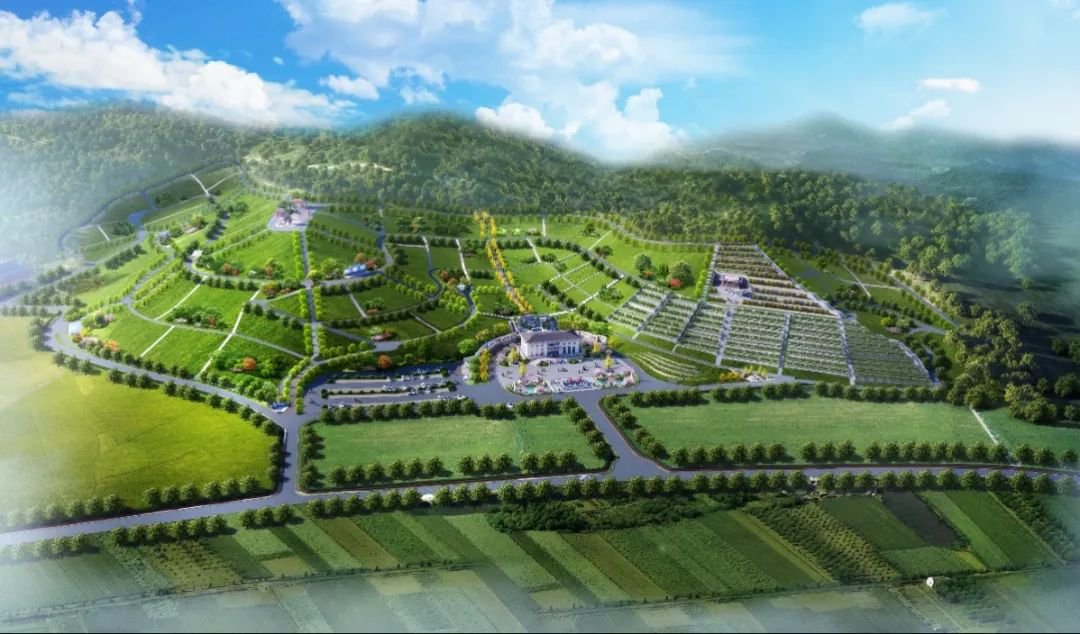 兰科博弈(RankBet)有限公司官网