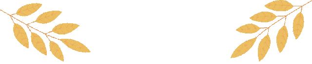 0QZJ541-3