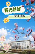 春分之韵|杨艺邀您共享春景