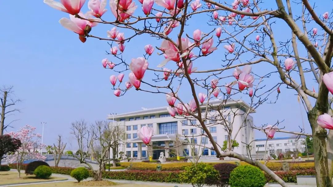 兰科博弈(RankBet)有限公司官网
