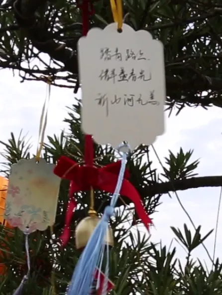 1-240405105614100 兰科博弈(RankBet)有限公司官网