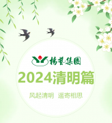 风起清明 遥寄相思|杨艺集团?2024清明篇