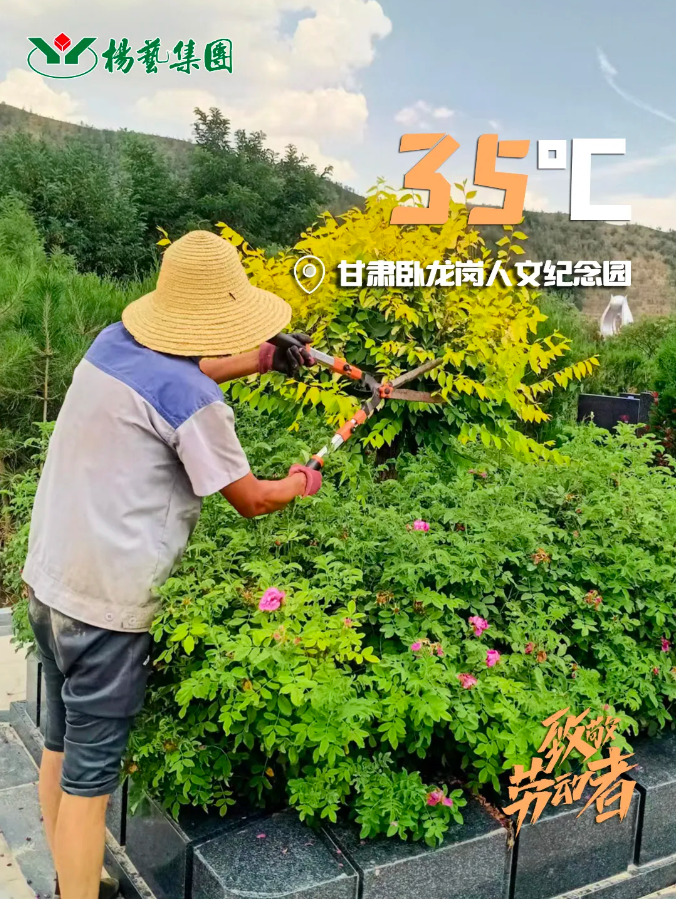 1-240H9135S4324 兰科博弈(RankBet)有限公司官网
