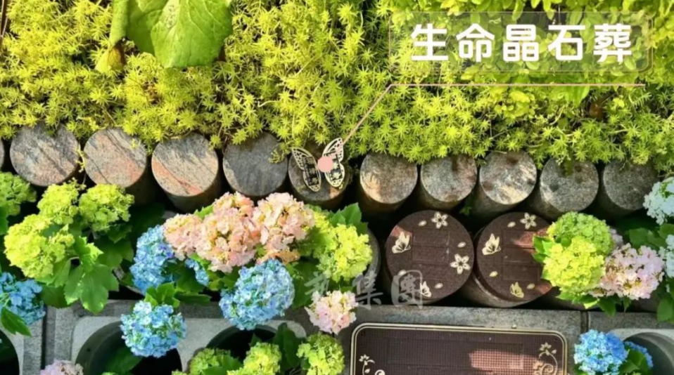 1-240H914334D49 兰科博弈(RankBet)有限公司官网