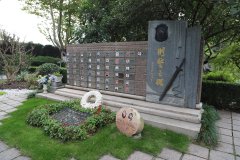 致敬“安然卫士”，铭刻“刑警之魂”