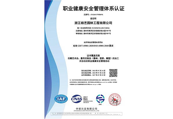 职业健康安全治理系统认证