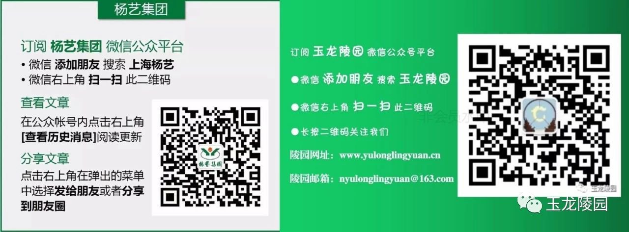 1-25040309312M41 兰科博弈(RankBet)有限公司官网