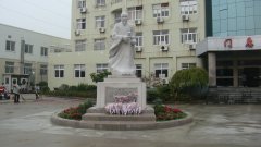 石雕匠心，镌刻医者风华