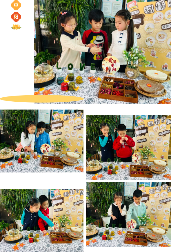 1-2510300Q530509 兰科博弈(RankBet)有限公司官网