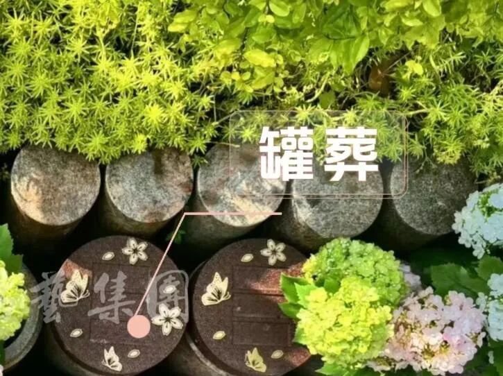 兰科博弈(RankBet)有限公司官网