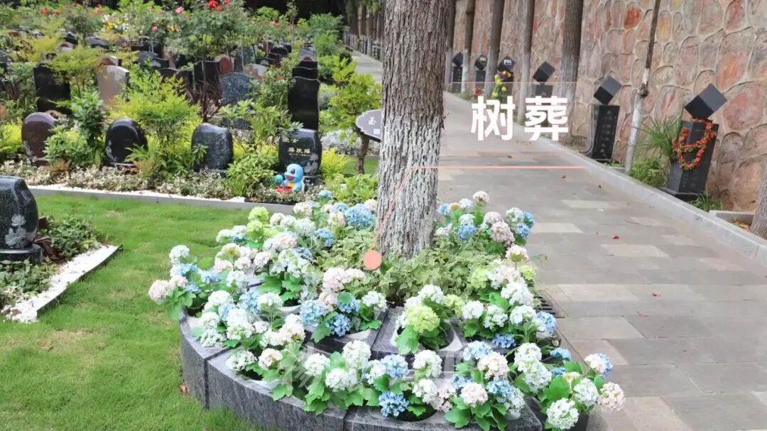 兰科博弈(RankBet)有限公司官网