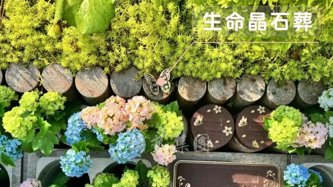 兰科博弈(RankBet)有限公司官网